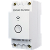CÔNG TẮC THÔNG MINH THANH RAY CB20A WIFI