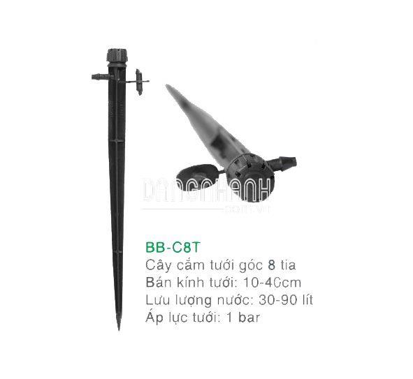 CÂY CẮM TƯỚI GỐC 8 TIA