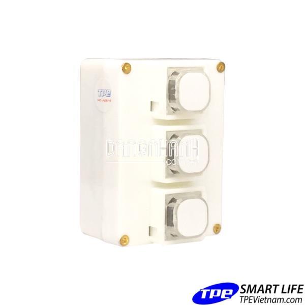 Công tắc điều khiển từ xa sóng RF TPE RC3S