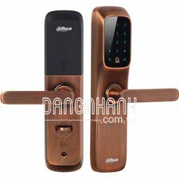 KHOÁ CỬA THÔNG MINH DHI-ASL6101R-B