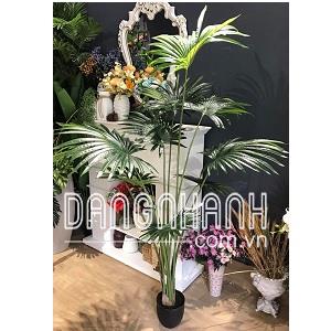Cây cọ giả trang trí nội thất 1,8m