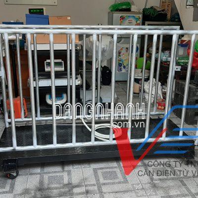Cân heo điện tử DI-VPS-6 500kg