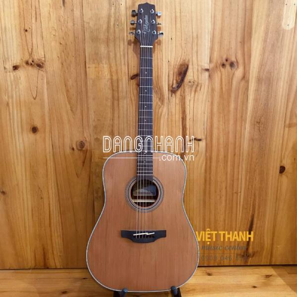 TAKAMINE GD20-NS