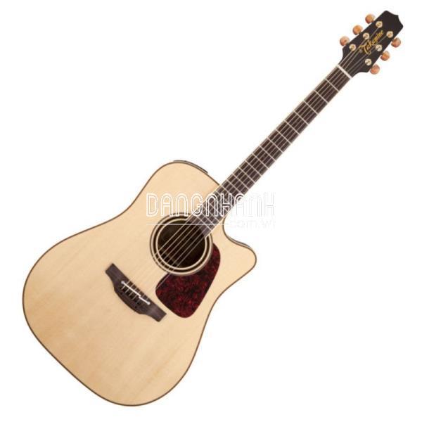 TAKAMINE P4DC