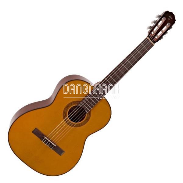 TAKAMINE GC1