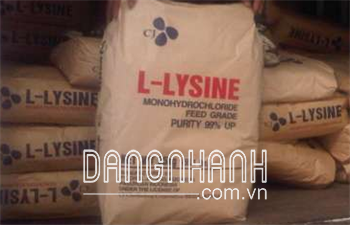 L- Lysine