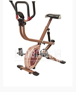 Xe đạp tập thể dục OTO ROW BIKE RB-1000 (Rose Gold)