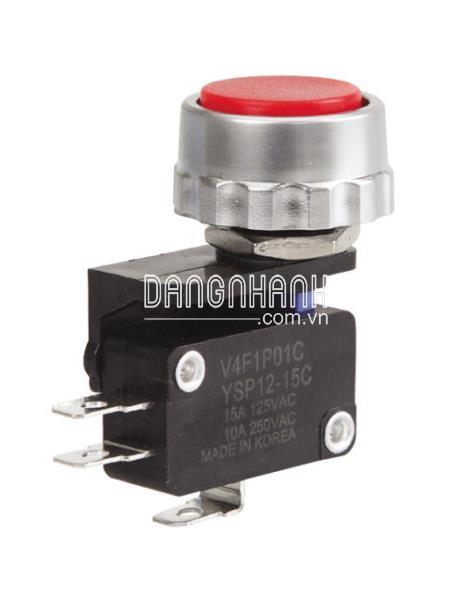 AC125V 15A PUSH BUTTON