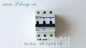 Aptomat chống giật Panasonic C32