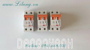 Cầu dao tự động LS MBC BKN 2P 25A