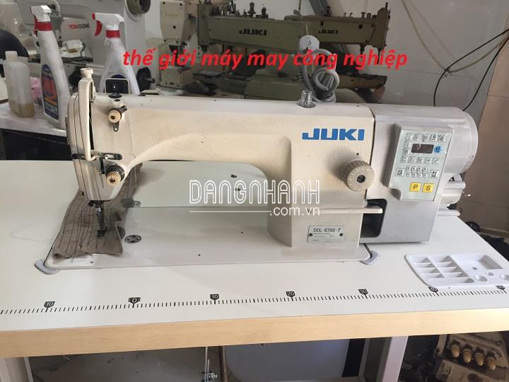 Máy May Juki Model DDL - 8700