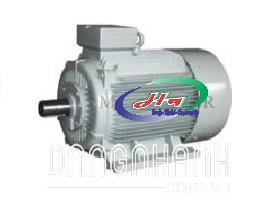 Motor điện 3 pha vỏ gang Y3