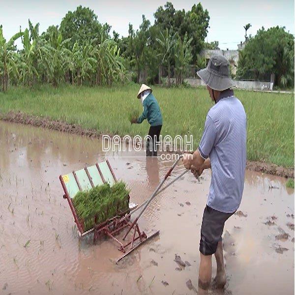 MÁY CẤY LÚA CẦM TAY