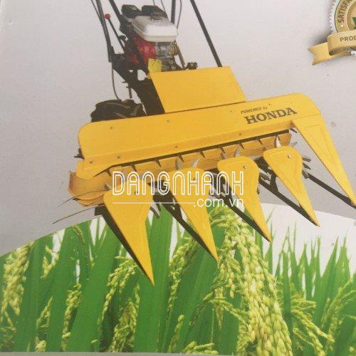 MÁY GẶT LÚA XẾP DÃY ĐỘNG CƠ HONDA