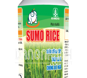 SUMO RICE