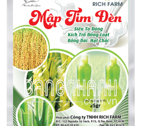 MẬP TIM ĐÈN