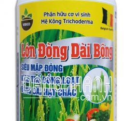 LỚN ĐÒNG DÀI BÔNG