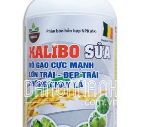 KALIBO SỮA