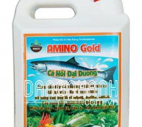 AMINO GOLD