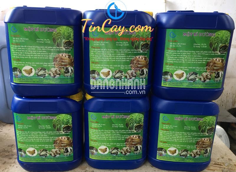 Mật Rỉ Đường (Rỉ Đường, Mật Đường)