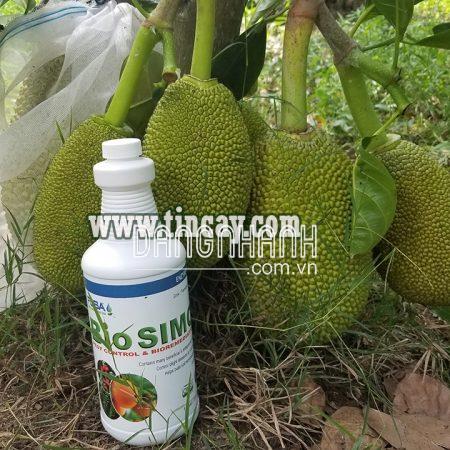 Phân Bón Vi Sinh Bio Simo – Fusa