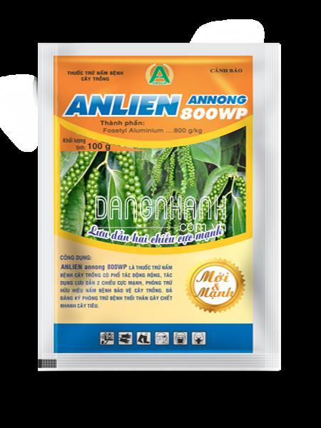 ANLIEN 800WP