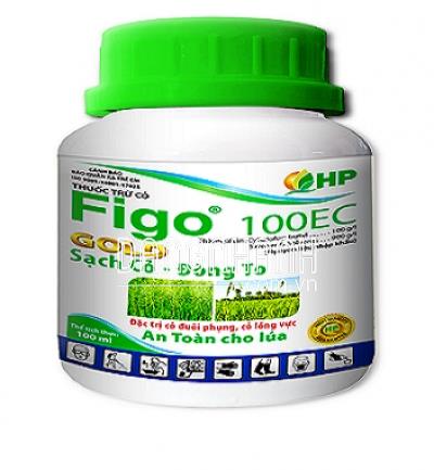 FIGO 100EC