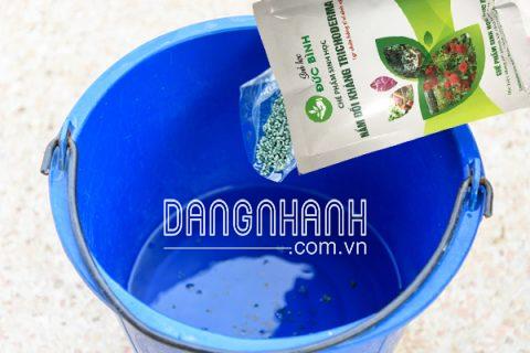 Nấm đối kháng trichoderma Đức Bình