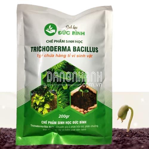 Chế phẩm Trichoderma Bacillus Đức Bình