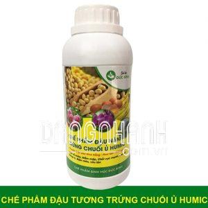 Phân bón đậu nành humic trứng chuối cho hoa hồng