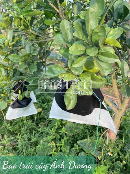 Túi Bao Chống Cháy Ánh Dương KT 30x35 cm