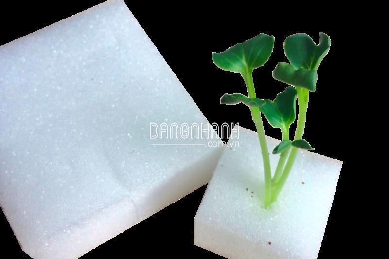 Giá thể mút xốp vuông d35 x r35 x c25 - 56 viên/tấm