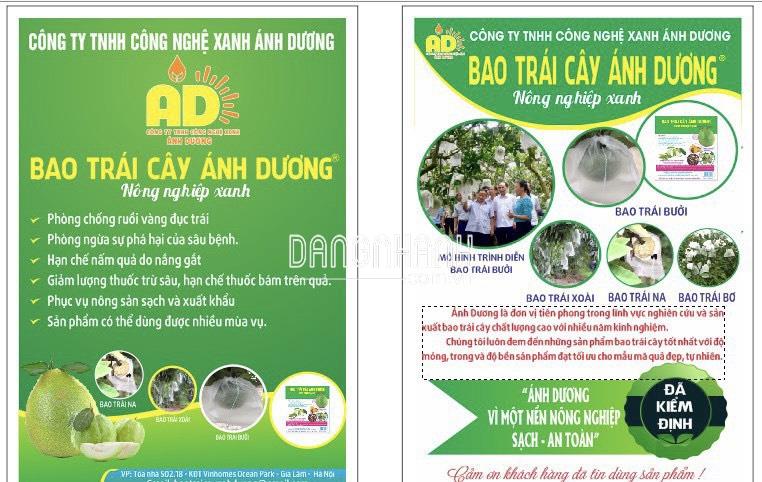 100 Bao bọc bưởi da xanh kích thước 30×35