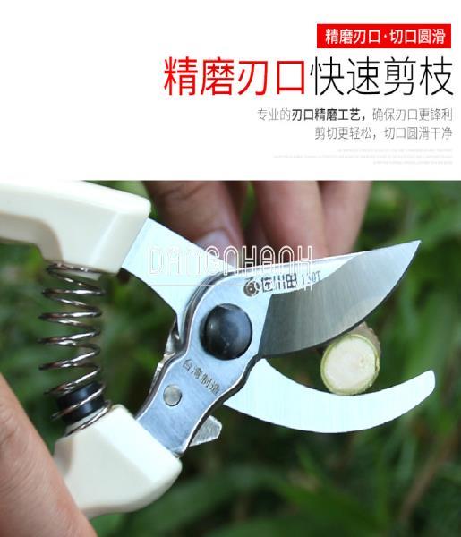 Kéo cắt tỉa cành cây Sagawada 130T