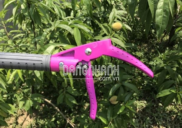 HM44 - Dụng Cụ Cắt Cành, Bấm Trái 3m