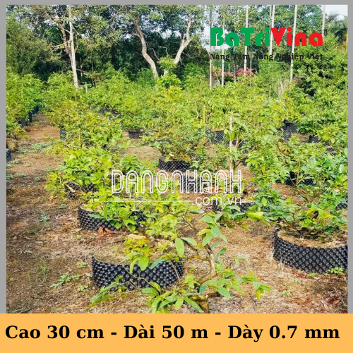 Bầu Nhựa Dưỡng Cây BoSaVina (Cao 30 cm - Cuộn dài 50 m - Dày 0.7)