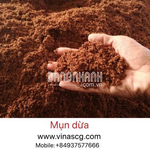 Mụn dừa – Đất sạch VINASCG1 chuyên ươm rau mầm, cây con, cây cấy mô