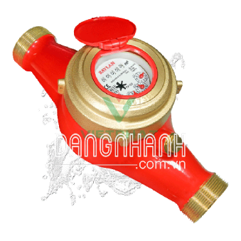 Đồng hồ nước nóng TK-5S