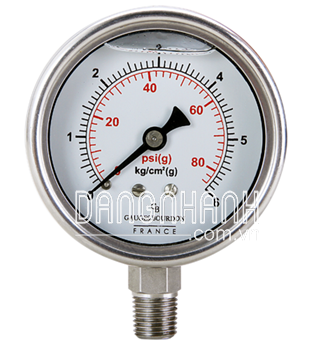 Đồng hồ mặt 150 inox, chân inox. Thang đo: 0 tới 250 (Psi)