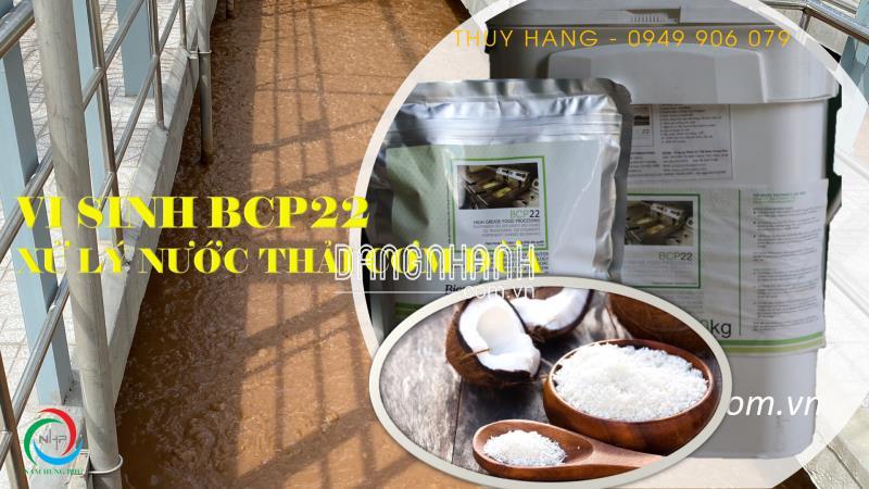 BCP22 men vi sinh xử lý nước thải chế biến cơm dừa (0949906079)