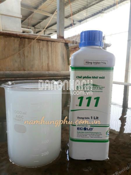 Biostreme111 khử mùi hôi nước thải giấy và bột giấy 