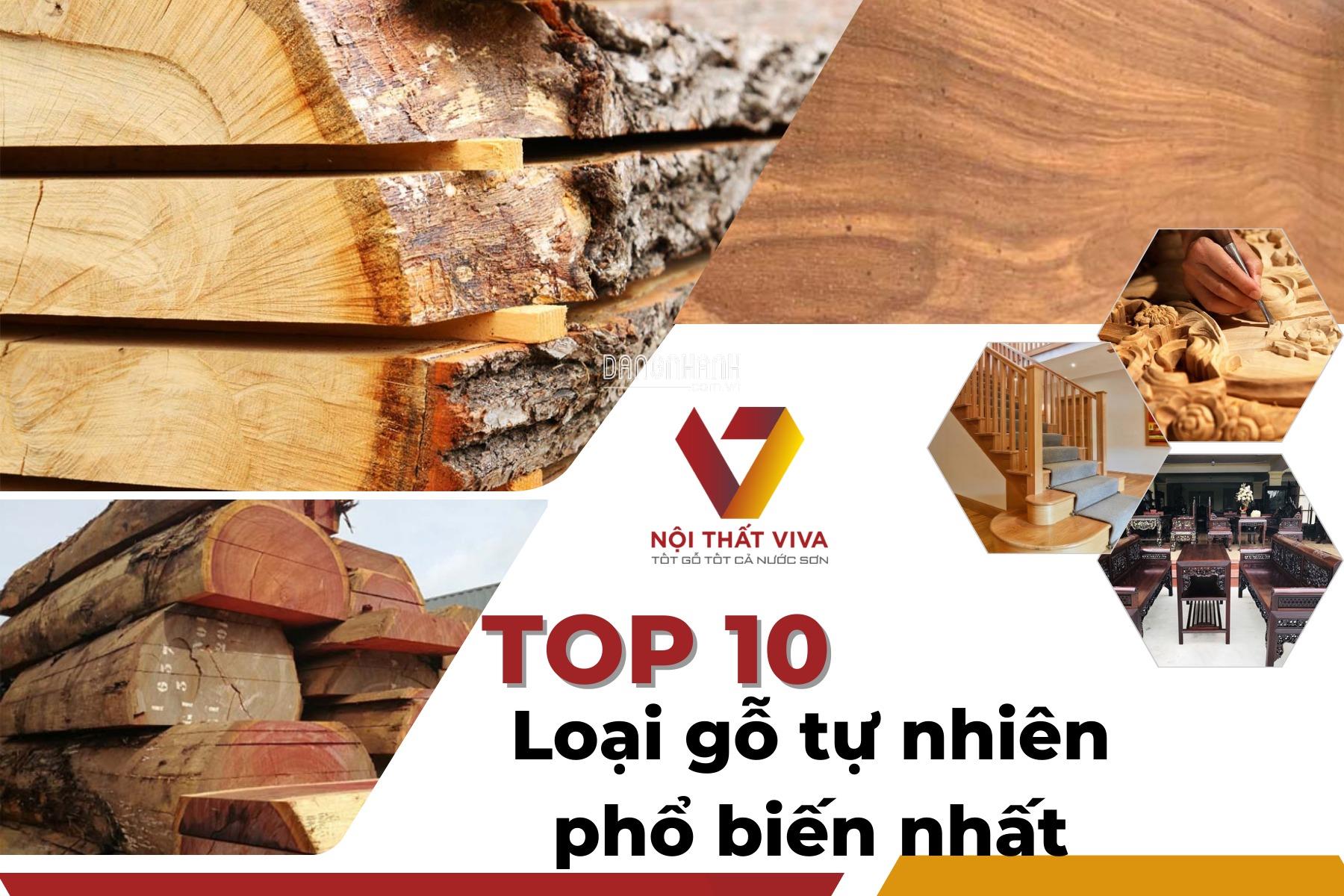 Top 10 loại gỗ tự nhiên phổ biến nhất và ưu, nhược điểm từng loại