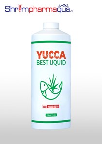 Yucca lỏng hấp thu khí độc, cấp cứu tôm cá nổi đầu do khí độc tăng cao - Yucca best liquid