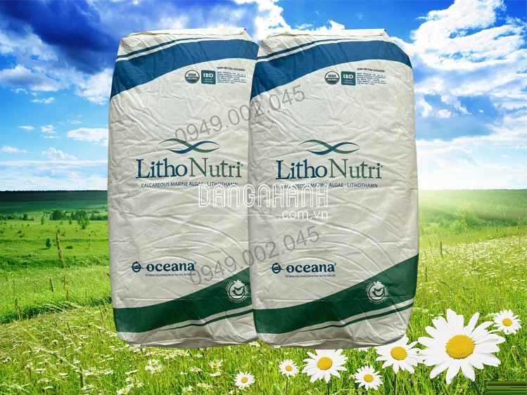 Lithonutri Powder - Khoáng trộn, khoáng tạt cho tôm cá chiết xuất từ tảo biển