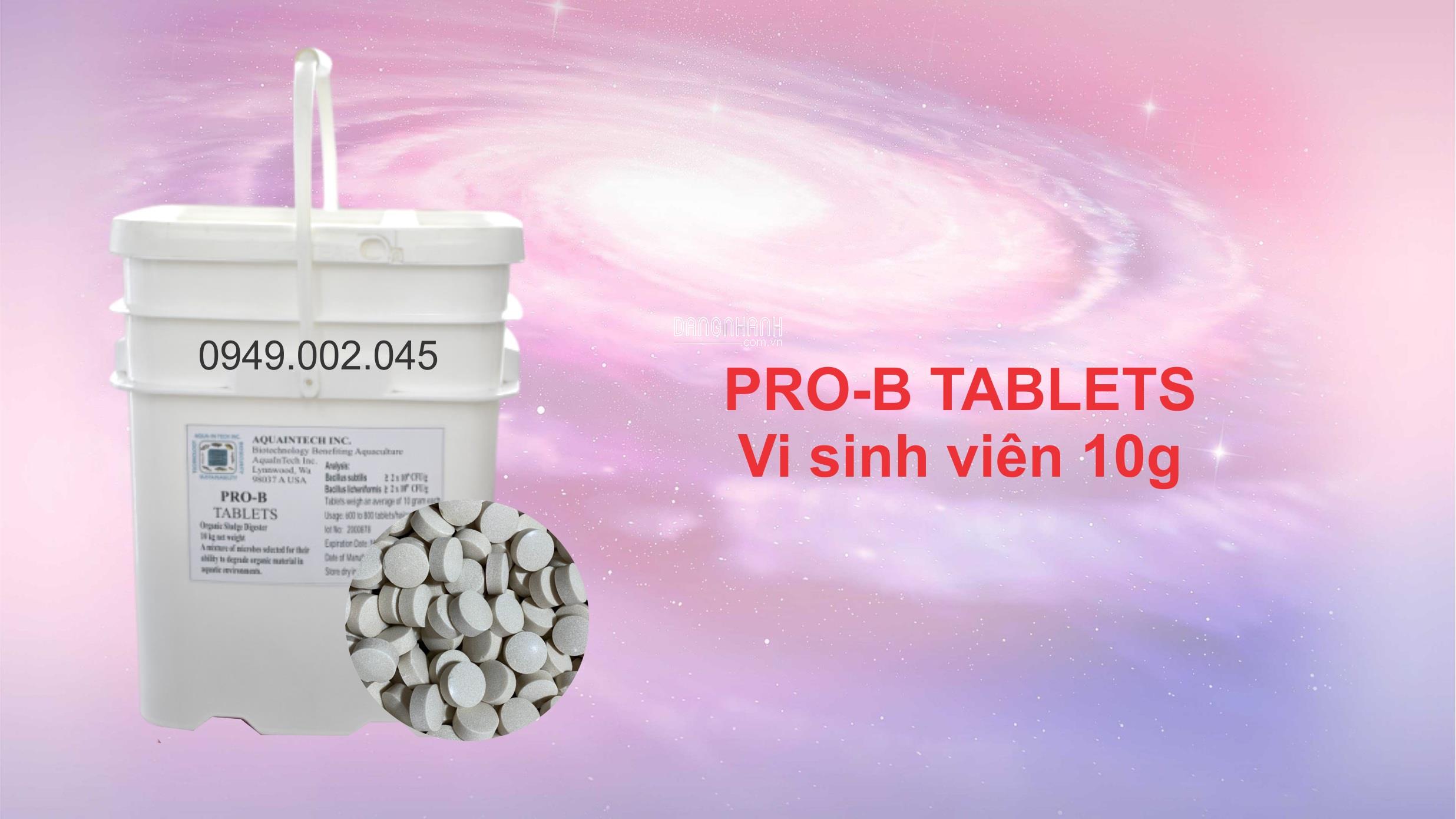 Pro - B Tablets - Vi sinh Mỹ 10g làm sạch nước và đáy ao nuôi tôm cá